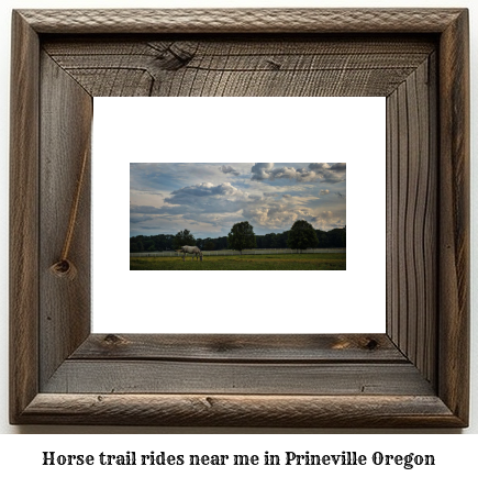 horse trail rides near me in Prineville, Oregon